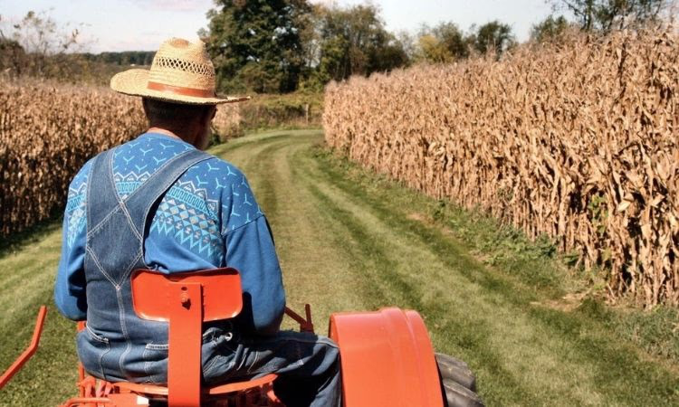 Фермеры получат льготные кредиты под 5-10%