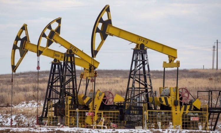 Страны ОПЕК+ смогут добывать больше нефти в 2021 году