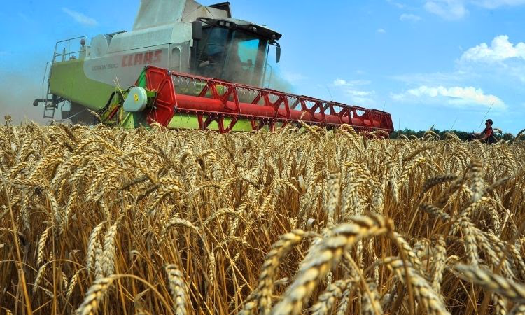 Фермеры Кыргызстана смогут торговать на бирже