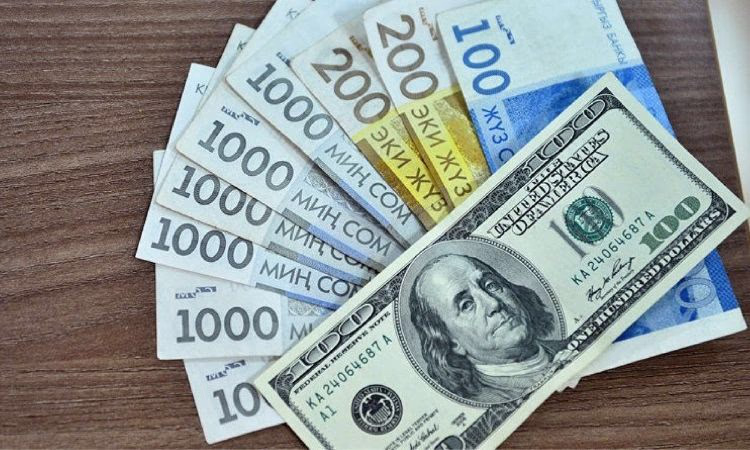 За счет государства погасят кредиты 671 заемщика