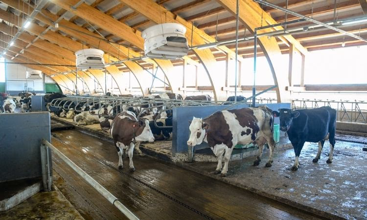 Программы кластерного финансирования РКФР