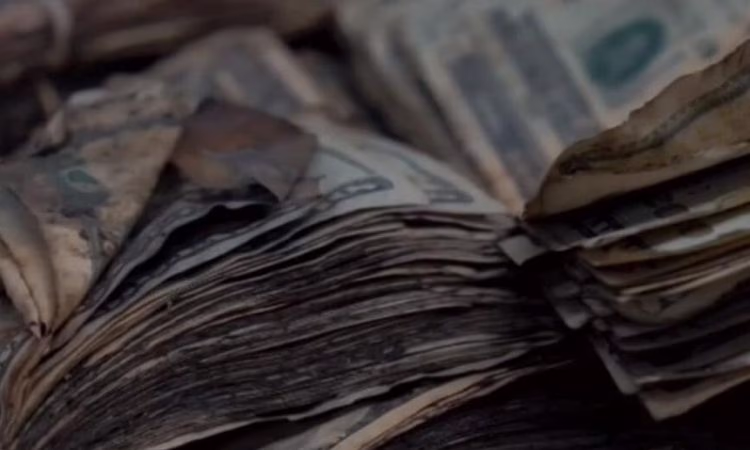 В Нацбанке снова можно обменять деньги и купить золото