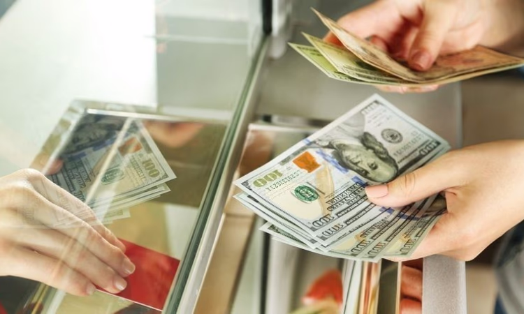 НБ КР приостановил действие лицензии обменного бюро «РАДИУС КГ»