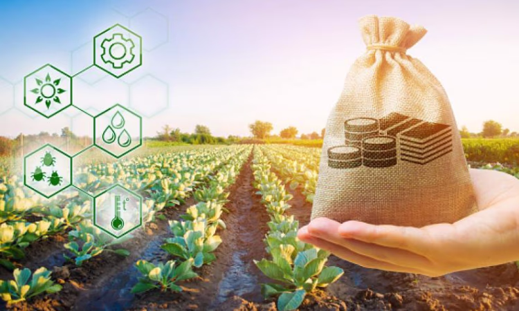 Идет отбор коммерческих банков на участие в проекте «ФСХ-10»