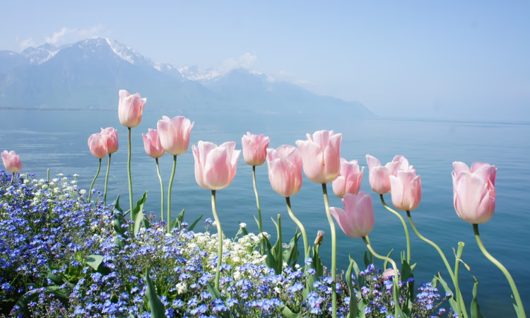 Как работают банки Кыргызстана с 30 апреля по 9 мая