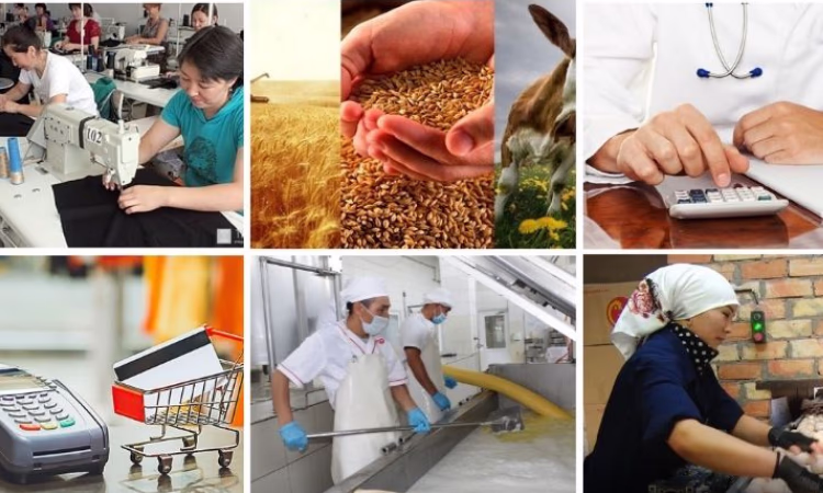 Более 1 млрд сомов получили предприниматели под гарантии ОАО «ГФ»