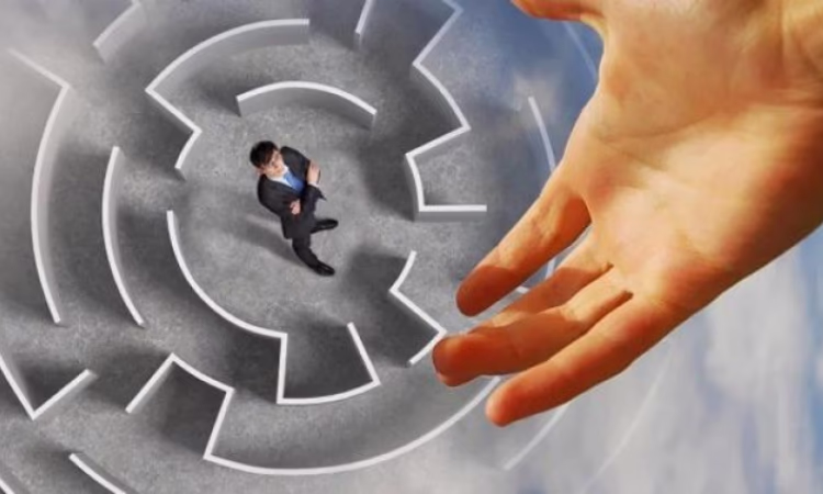 Новый гарантийный продукт оценили 1 126 предпринимателей