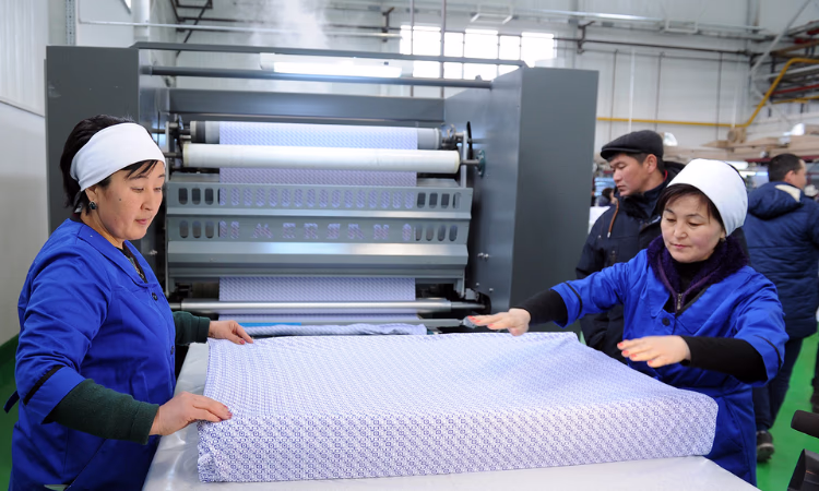 РКФР поддержал расширение проекта текстильной фабрики в Токмаке