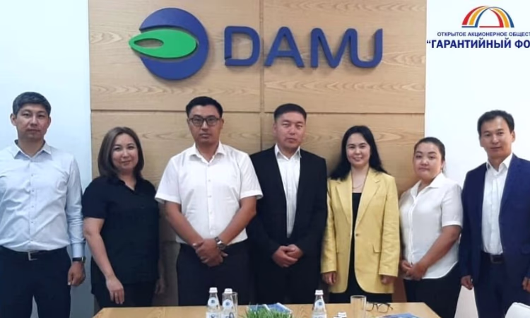Гарантийный фонд и фонд «Даму» обменялись опытом