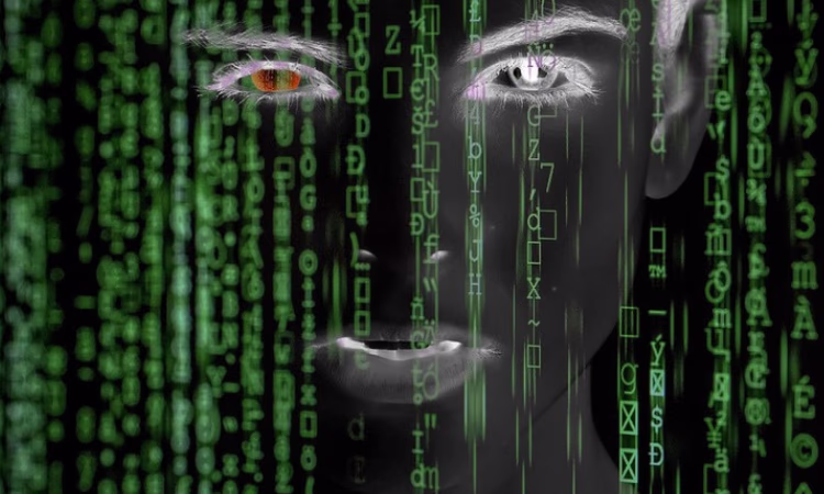 Как сотрудницу «Банка ВТБ» обманули мошенники