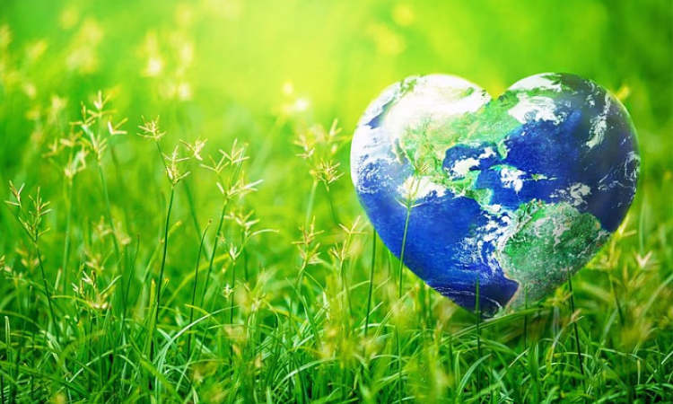 Сделаем Кыргызстан чище! ОФ «Эко Деми» призывает к участию в экоакции