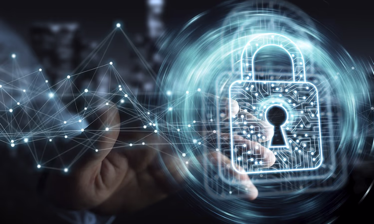 Построение киберустойчивого бизнеса - программа для топ-менеджмента