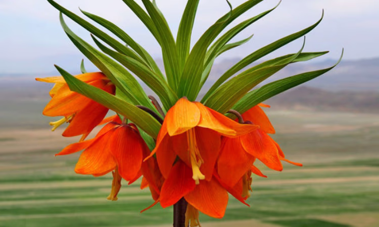 Для заемщиков Баткенской области упростят процедуру выдачи кредитов