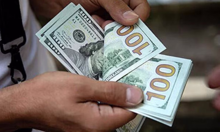 Еще два менялы оштрафованы за незаконный обмен валют