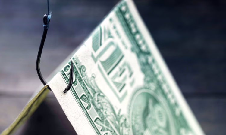 Задержан подозреваемый в организации финансовой пирамиды «Ок платформа»