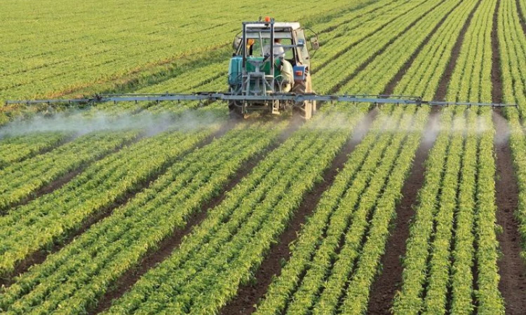 «Айыл Банк» и «РСК Банк» выдали 2 379 льготных кредитов