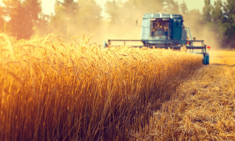 Утвержден проект «Финансирование сельского хозяйства - 11»