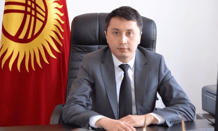 Для скольких из 52 «дочек» «Кыргызиндустрии» удалось найти инвесторов?