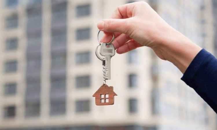 Генпрокуратура: По деятельности жилкооперативов возбуждено 2 576 уголовных дел