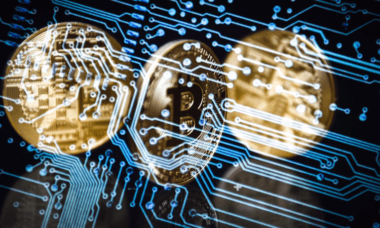 Россияне получат доступ к платформе для бесплатного изучения блокчейна