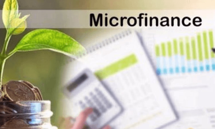 Национальный банк наложил штраф на микрокредитную компанию