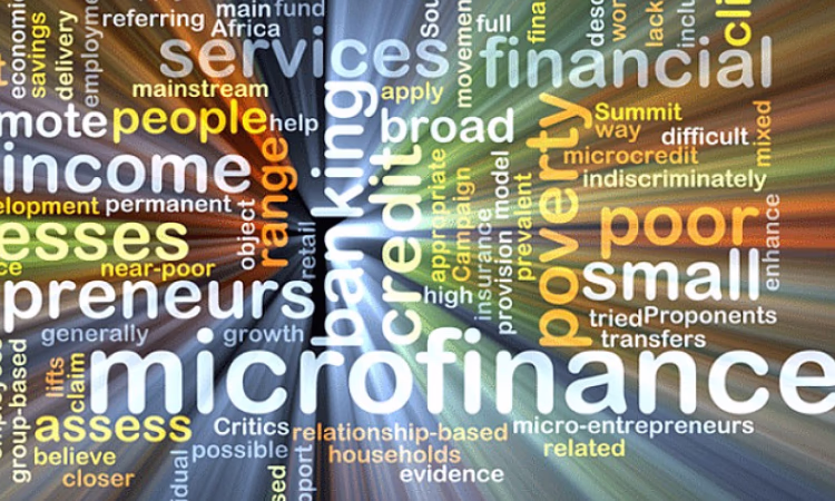 Львиная доля получателей микрокредитов пришлась на Ошскую область