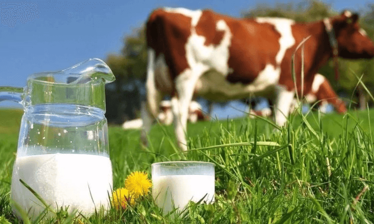 Финансово-кредитный фонд выдал кредиты 366 субъектам на 132 млн сомов