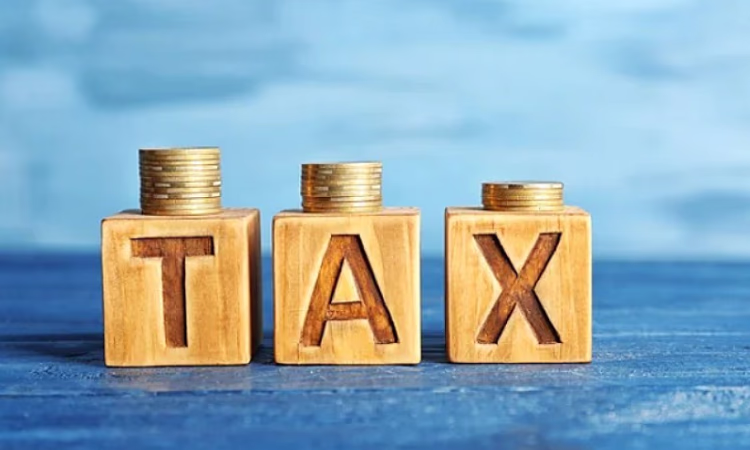 За 7 месяцев ГНС собрала 136 млрд сомов налогов и страховых взносов