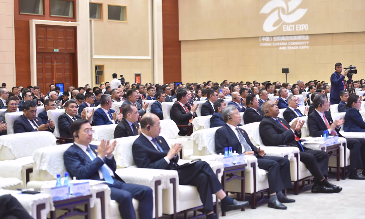 В 2022 году объем рынка e-commerce в ЦА составил 8 млрд долларов