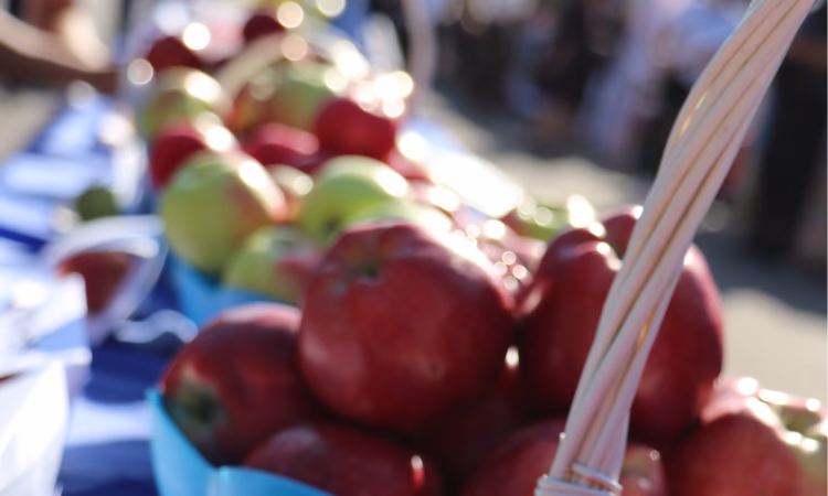 «Банк Компаньон» приглашает всех на яблочный фестиваль в Джалал-Абад