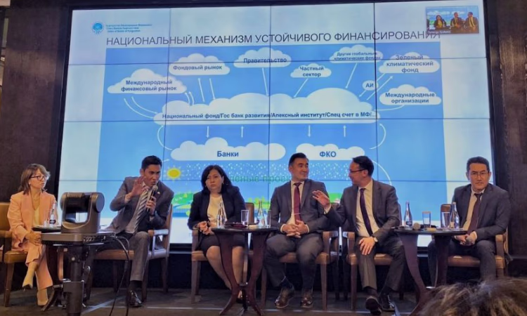 МДС озвучил мнение бизнеса об адаптации к изменению климата и снижении выбросов