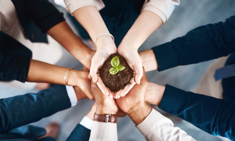 Под гарантии ГФ банки-партнеры выдали кредиты в объеме 12 млрд сомов