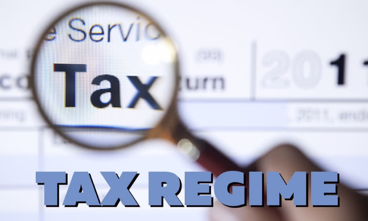 До 28 января налогоплательщики должны выбрать налоговый режим