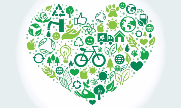 В КР окажут поддержку социальному предпринимательству и стартапам