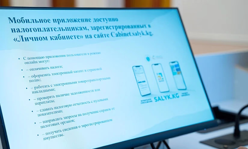 В Кыргызстане онлайн налоговыми услугами пользуются 1,1 млн человек