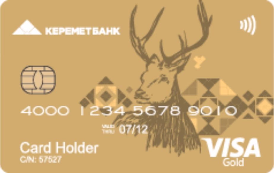 Visa Credit Gold