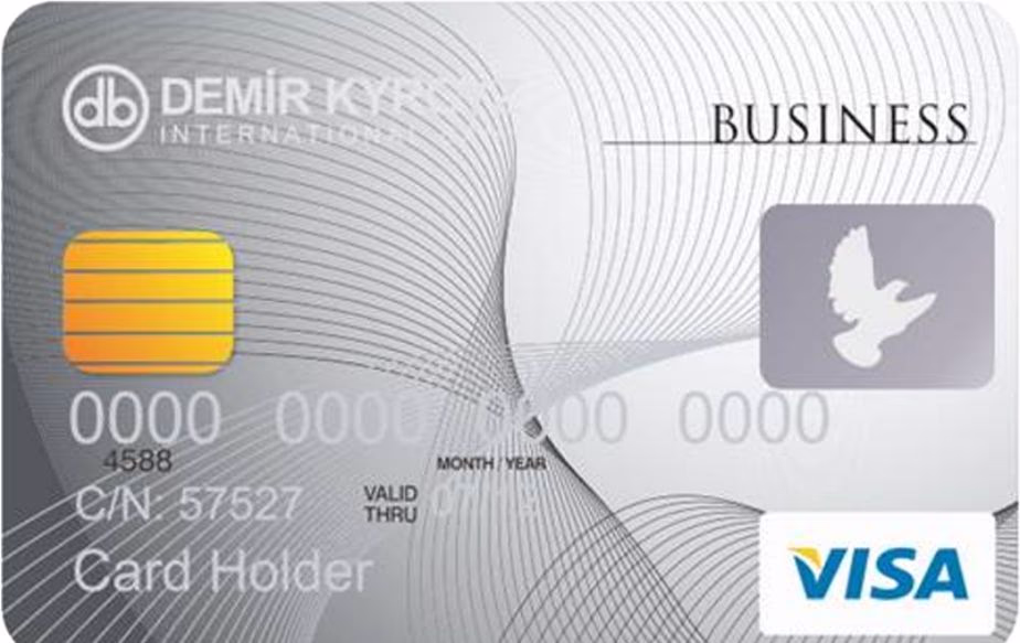 Visa Business