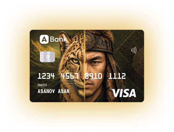 Visa Nomad