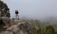 КАР2