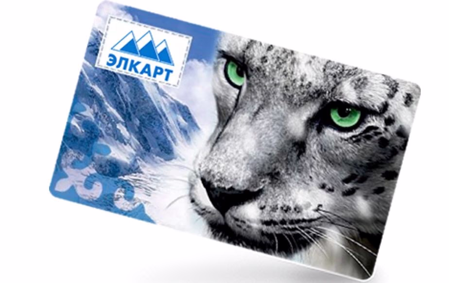 Элкарт Бизнес