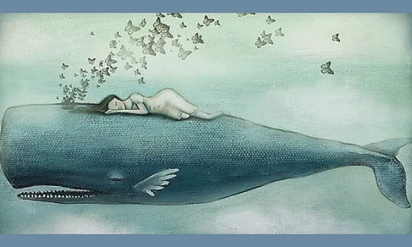 Шесть «китов» вашей финансовой стабильности