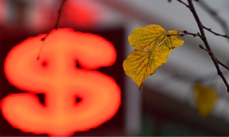 НБ КР: «Отчетность обменных бюро поступает через портал дважды в день»