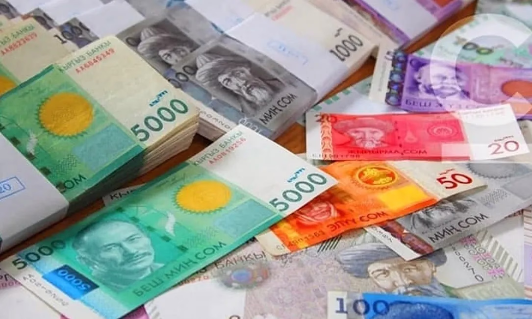 В Бишкеке задержан иностранец, разорвавший напоказ деньги