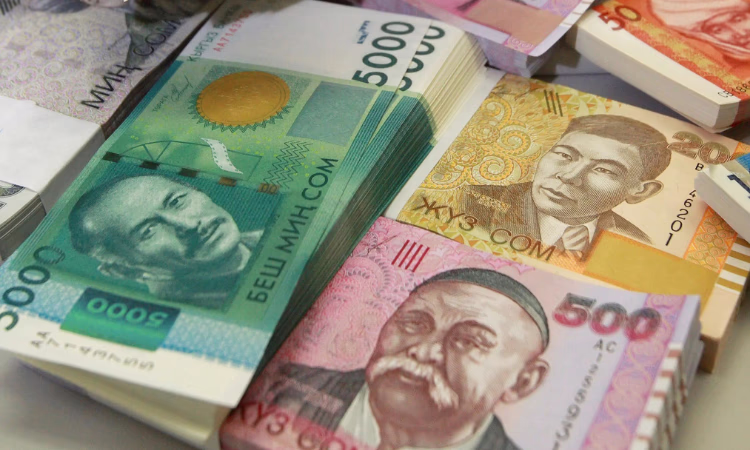 Видеоролики о людях, изображенных на кыргызских сомах