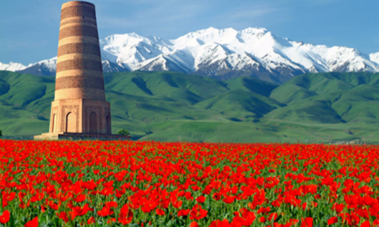 «ЭкоИсламикБанк» запустил рубрику ко Дню независимости КР