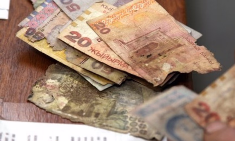 Нацбанк КР возобновляет деятельность по обмену ветхих денег