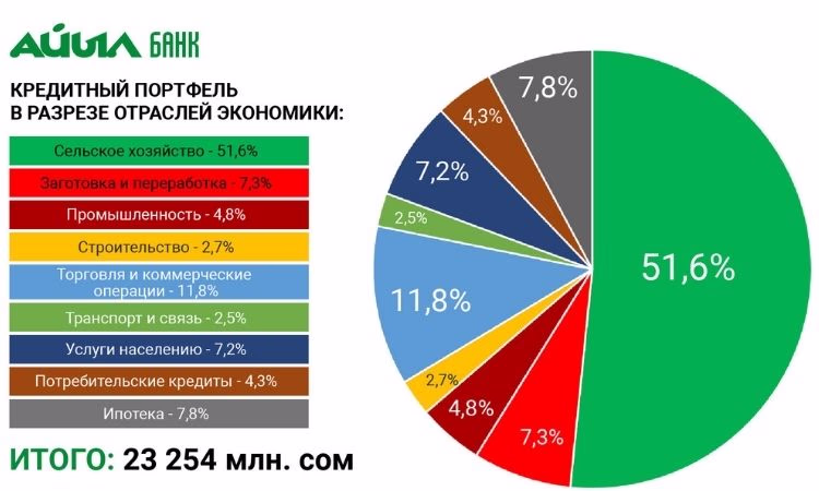 Отчет «Айыл Банка» по работе в 2020 году