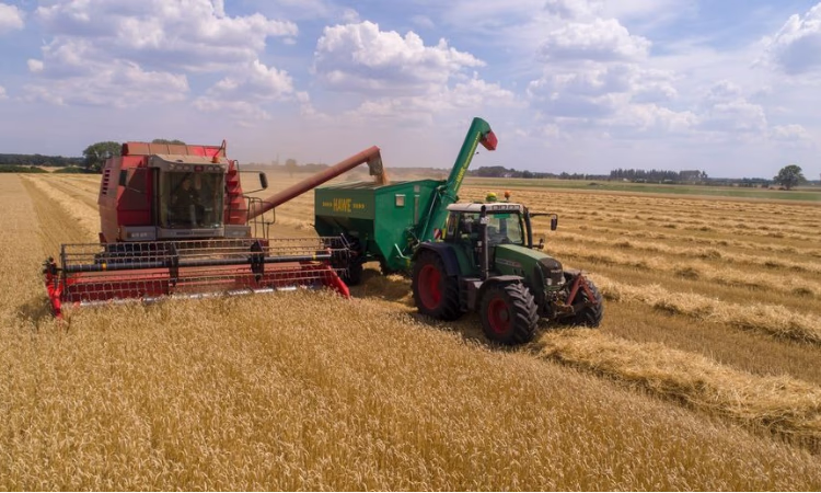 РКФР поддержит создание крупной МТС в Чон-Алайском районе