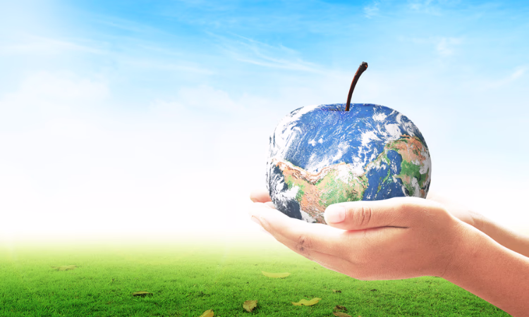 В Бишкеке пройдут выставки «АгроТехЭкспо-2022» и Organic Expo-2022