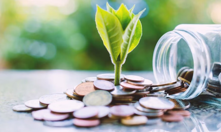 Гарантийный фонд запустил новый «зеленый» продукт